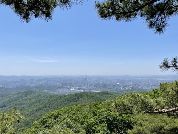  2022년 6월