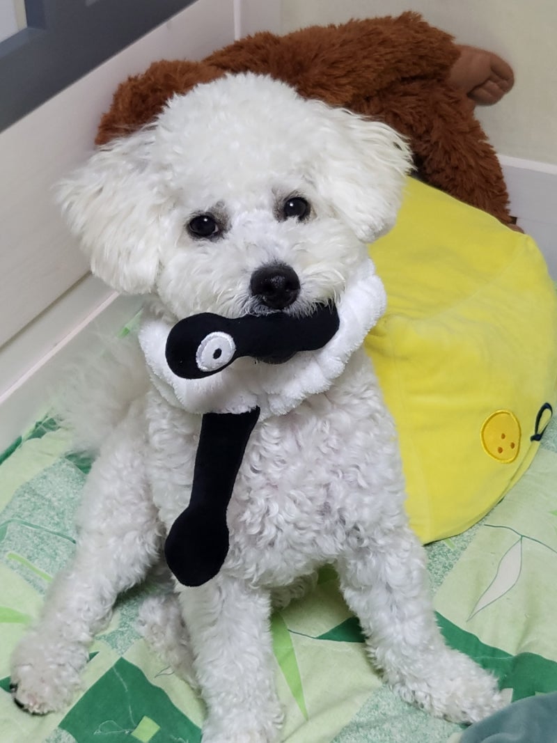 사진 3
