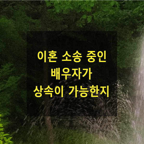  상속 - 이혼 소송 중에 배우자가 사망하는 경우 소송중 상대방 배우자가 상속이 가능한지