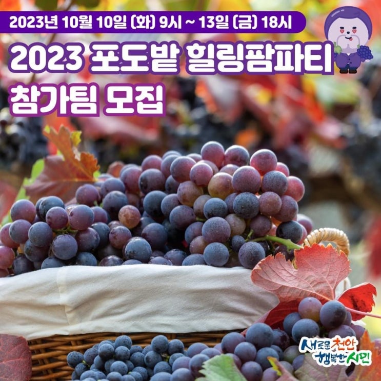 2023 포도밭 힐링팜파티 참가자 모집 | 천안시청페이스북