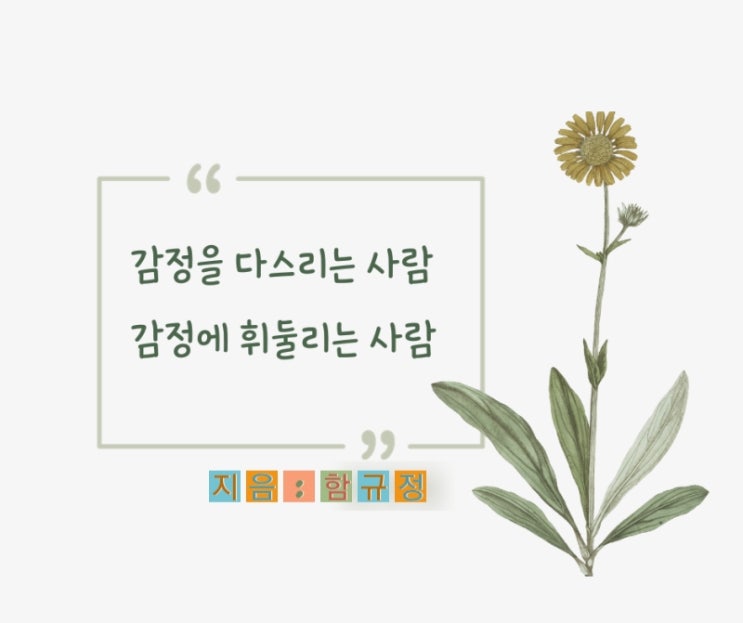  감정을 다스리는 사람 감정에 휘둘리는 사람 : 거절못하는 내가 마음에 새기고 싶은 글