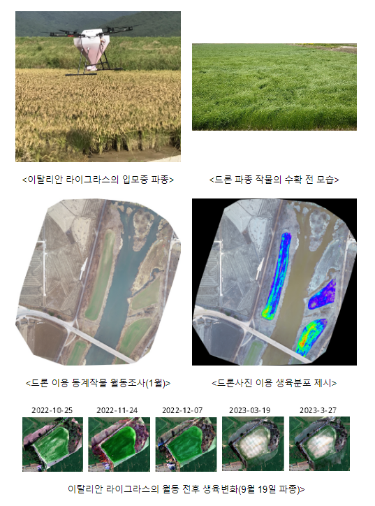 ‘이탈리안 라이그라스’ 파종, 무인기(드론)로 한 번에 해결 ‘이탈리안 라이그라스’ 파종, 무인기(드론)로 한 번에 해결