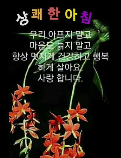  [율밥퍼]SAP ABAP - ALV LAYOUT(Feat. ZEBRA, CWIDTH_OPT,  SEL_MODE)