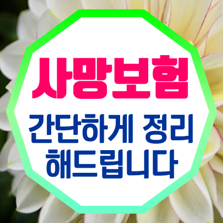  부모님사망보험 가입, 추천 답은 정해졌으니 망설이지 말고 이곳에서 비교하세요!