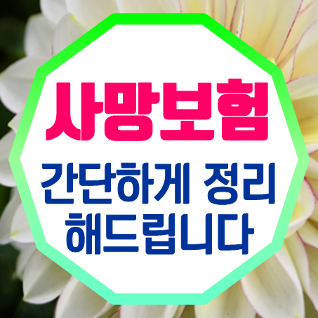 부모님사망보험 가입, 추천 답은 정해졌으니 망설이지 말고 이곳에서 비교하세요!