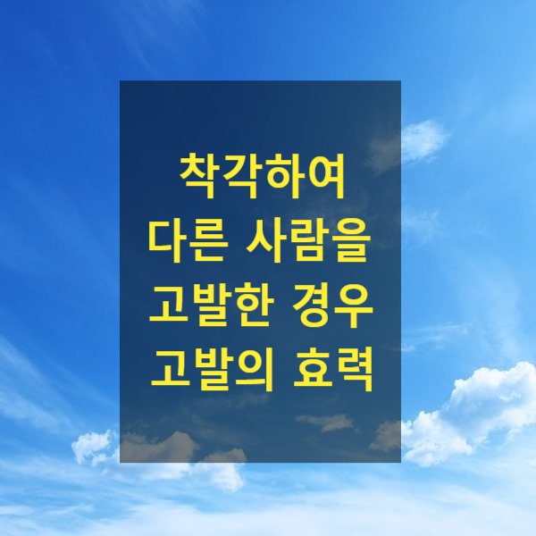  착각하여 다른 사람을 고발한 경우 고발의 효력