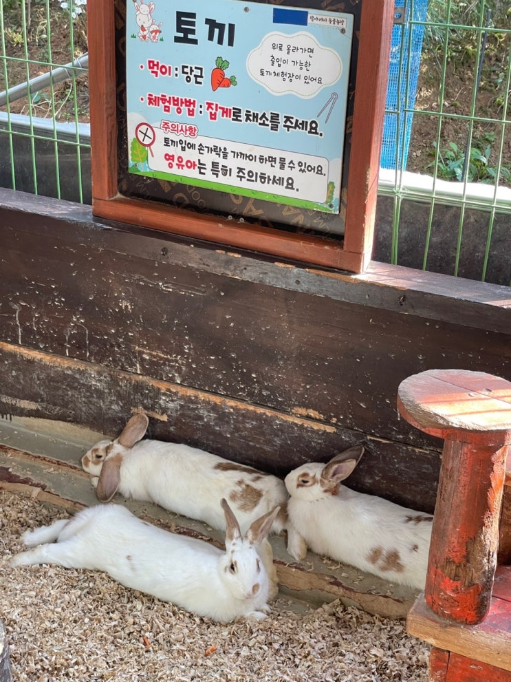  아이랑 가볼 만한 화성 할아버지 농장