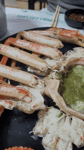  고성 봉포항 회센터 '우리들 횟집' 회 대게 맛집 추천
