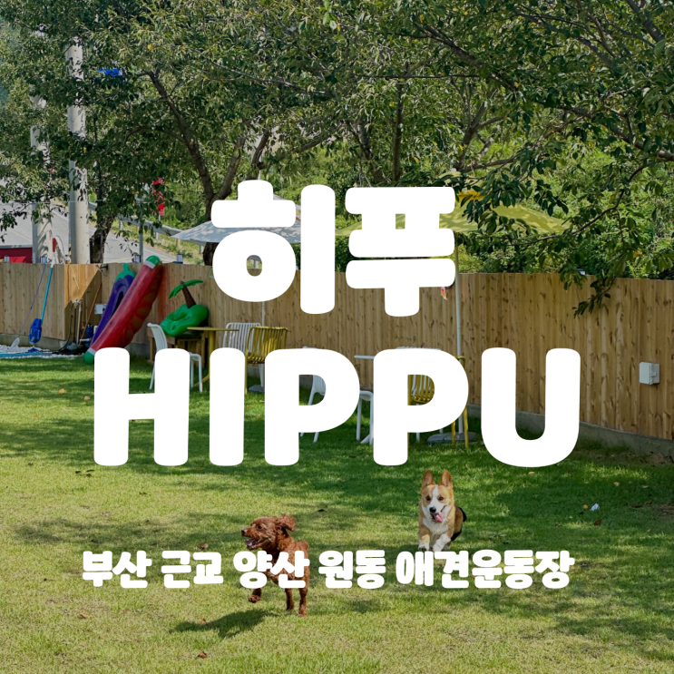 [부산 근교 양산 애견카페/애견운동장] 히푸 (HIPPU)