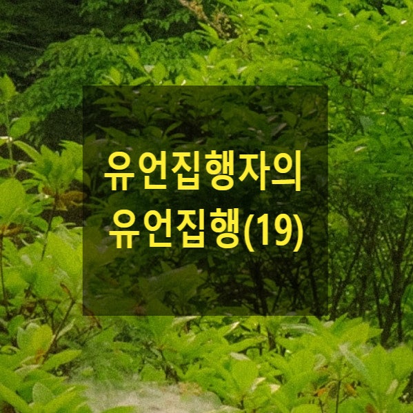  유언집행자의 유언집행(19) - 지정, 선임, 사퇴, 해임, 승낙, 권리, 의무, 보수