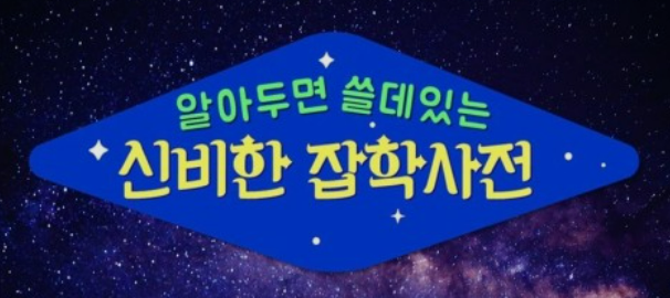  알쓸잼본 (Feat. 알아두면 쓸데있고 재미있는 등기부등본)