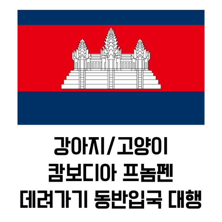  강아지 / 고양이 캄보디아 프놈펜 해외운송 동반입국 대행