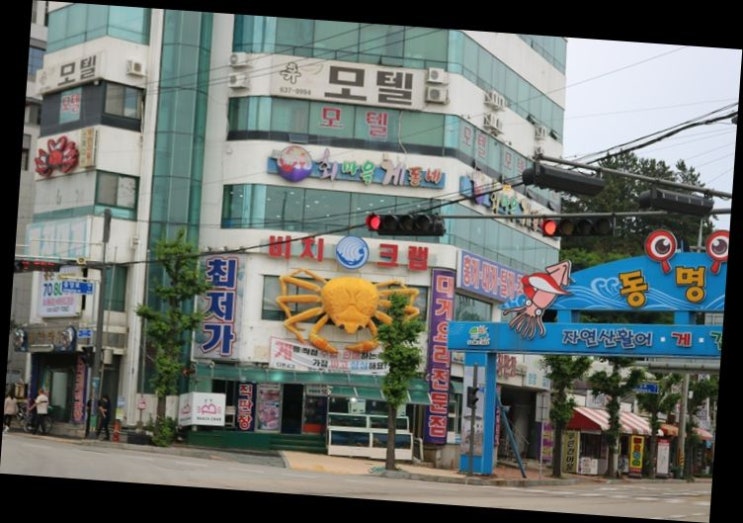  속초 맛집 "비치대게" 속초 해산물은 이곳에서~!