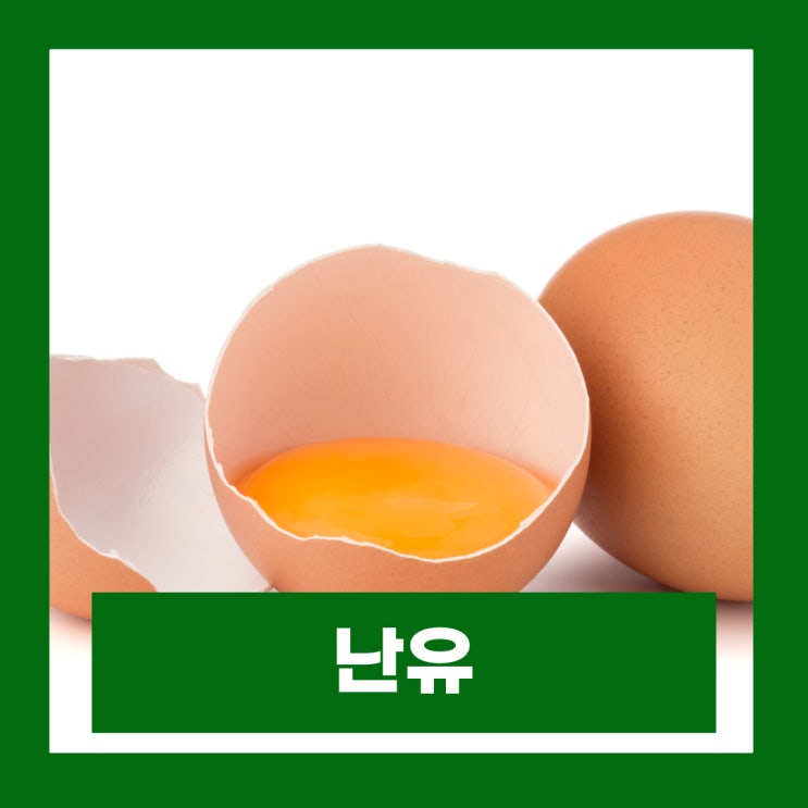  난유 효능 가격 만드는법 인간극장 노른자기름 만들기