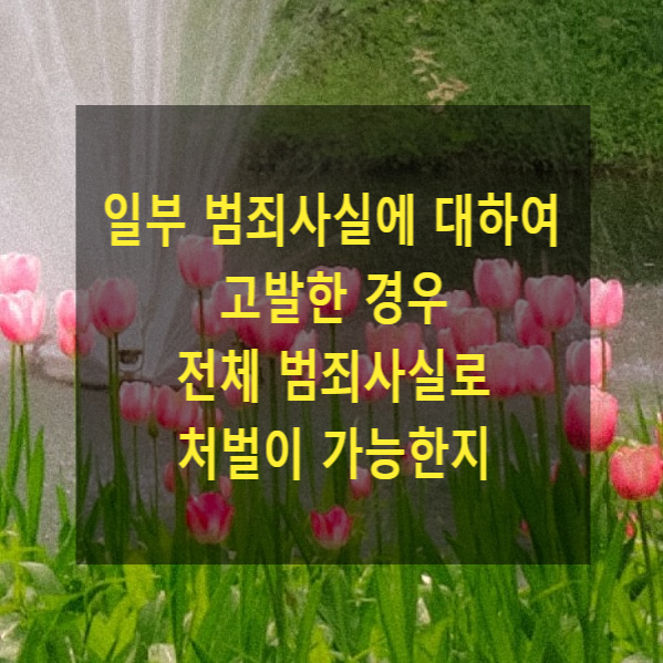  일부 범죄사실에 대하여 고발한 경우 전체 범죄사실로 처벌이 가능한지
