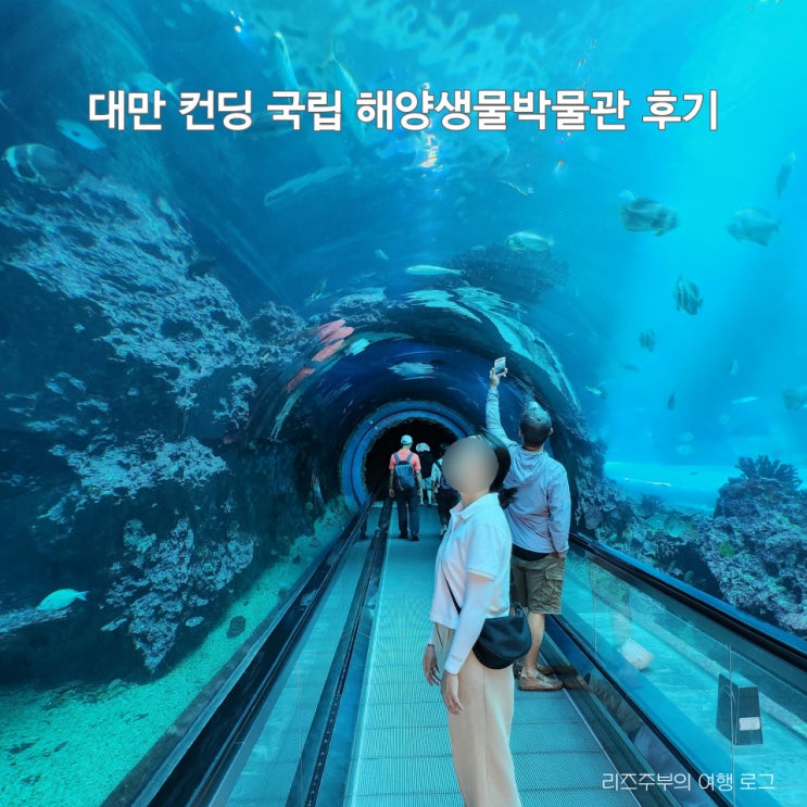  대만 가오슝 가족 여행  컨딩 국립 해양박물관 아쿠아리움 이용 후기