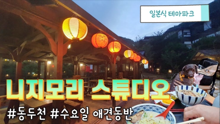  경기 동두천 : 강아지랑 니지모리 스튜디오 다녀오기 수요일 애견동반