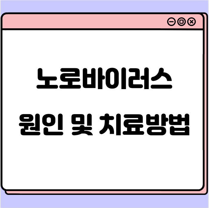  노로바이러스 원인 및 치료방법