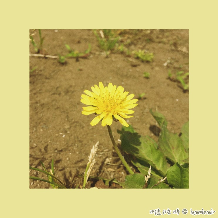 2023.09.04 ~ 10 주간 일기 2023.09.04 ~ 10 주간 일기