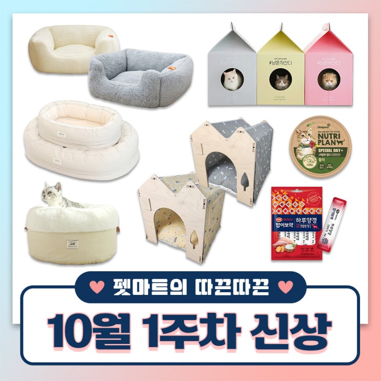  펫마트의 따끈따끈 주간 신상 [ 고양이 캔, 강아지 간식, 쿠션, 숨숨집, 하우스 ]