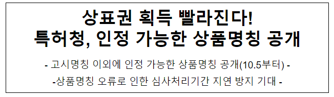 상표권 획득 빨라진다! 특허청, 인정 가능한 상품명칭 공개