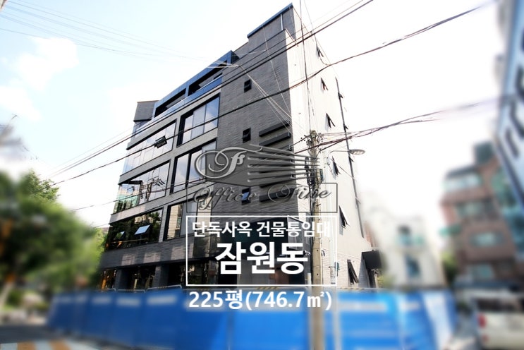  잠원동 역세권 신사역 리모델링건물 단독사옥 건물통임대 225평(746.7)