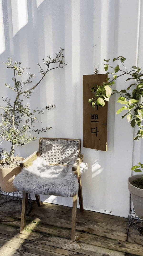 여주 애견카페 아이와 뛰어 놀 수 있는 플러피펍 여주 애견카페 아이와 뛰어 놀 수 있는 플러피펍