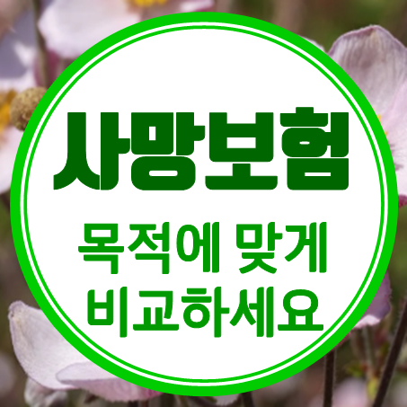  사망보험 가입, 목적에 맞게 가격을 비교한 뒤 추천 받으세요.