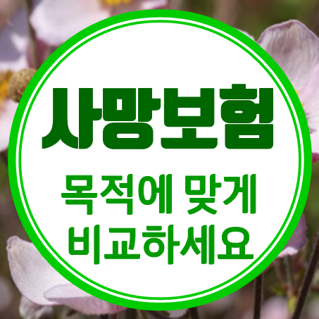 사망보험 가입, 목적에 맞게 가격을 비교한 뒤 추천 받으세요.