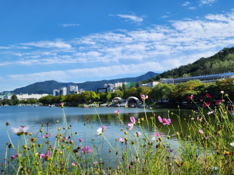대구 가볼 만한 곳 대구 여행지 추천 수성못 유원지 : 네이버 블로그