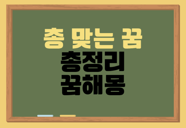 [총 맞는 꿈 해몽] 총에 맞는 꿈 / 총 맞고 도망치는 꿈 / 총 맞고 피흘리는 꿈 / 총 관련 꿈해....