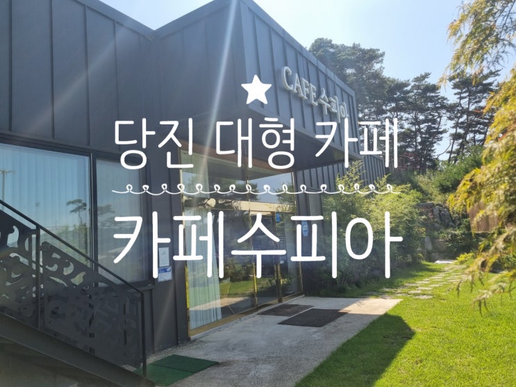  <내돈내산>당진 아이랑 갈만한곳 놀거리가 풍부하고 동물체험도 할수있는 '카페수피아'