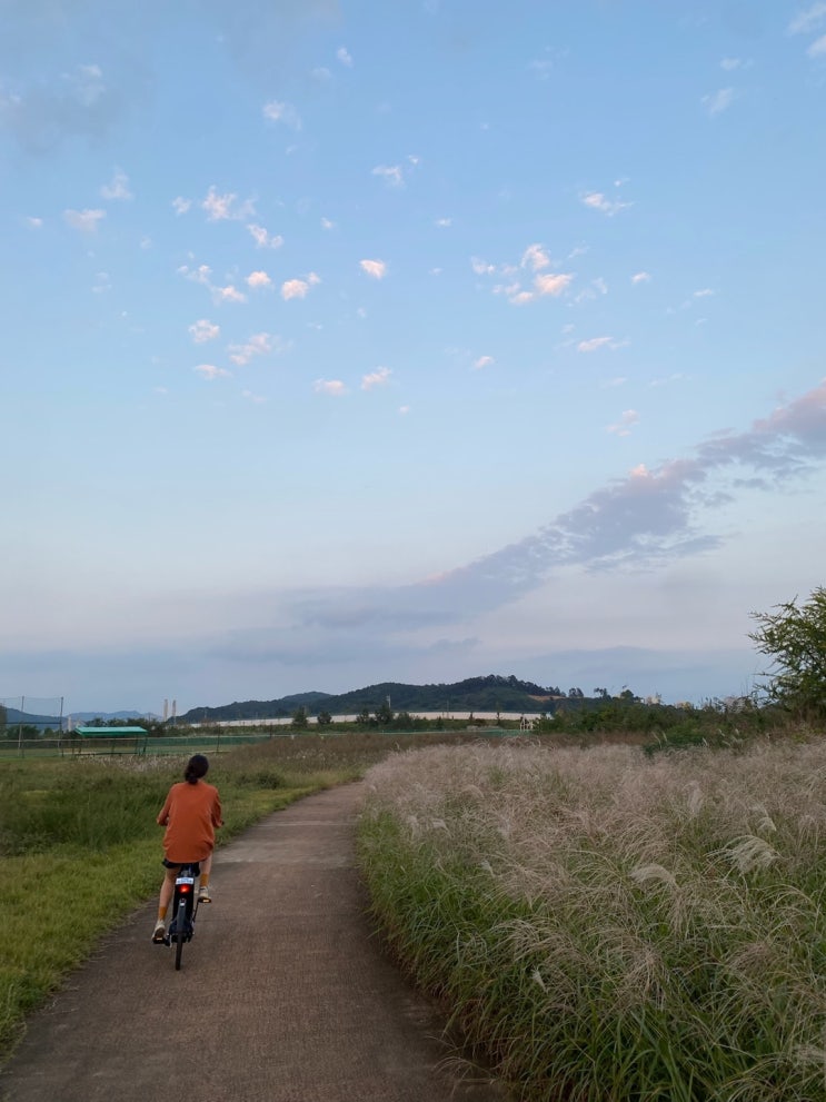  가을엔 편지를 하겠어요