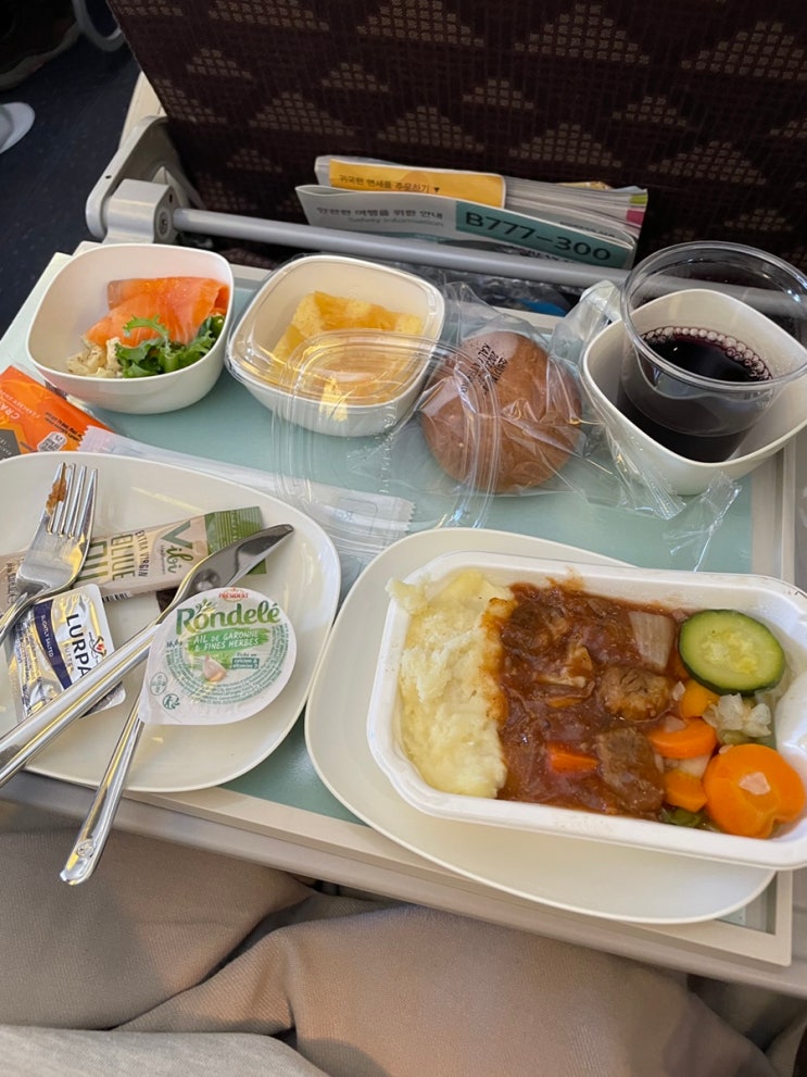  [스위스 여행] 대한항공 스위스 직항 K917, 918 후기(+자리 꿀팁)