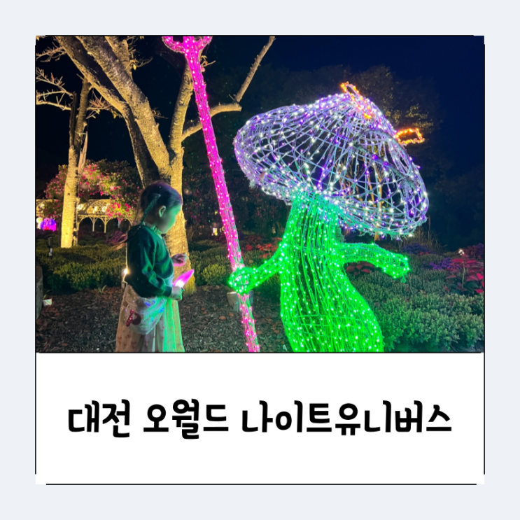  [대전 오월드 야간개장] 반짝반짝 나이트 유니버스 후기