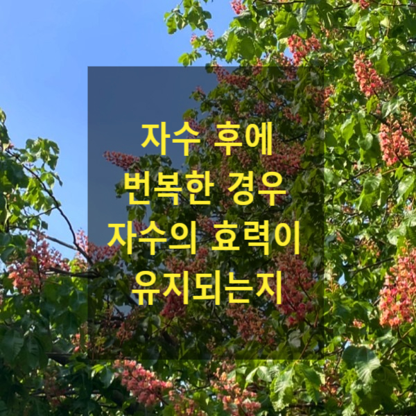  자수 후에 번복한 경우 자수의 효력이 유지되는지