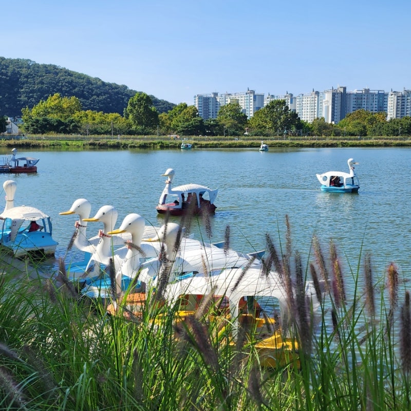 대구 가볼 만한 곳 대구 여행지 추천 수성못 유원지 : 네이버 블로그
