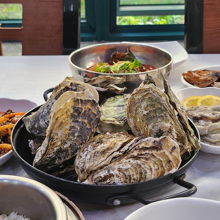 통영 굴 맛집 , 한정식처럼 정갈한 한마음식당 통영 굴 맛집 , 한정식처럼 정갈한 한마음식당