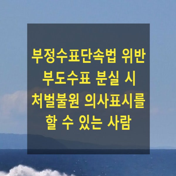 부정수표단속법 위반 부도수표 분실 시 처벌불원 의사표시를 할 수 있는 사람