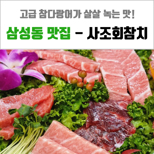삼성동 참치 - 고급 참다랑어 맛집 사조회참치 추천!