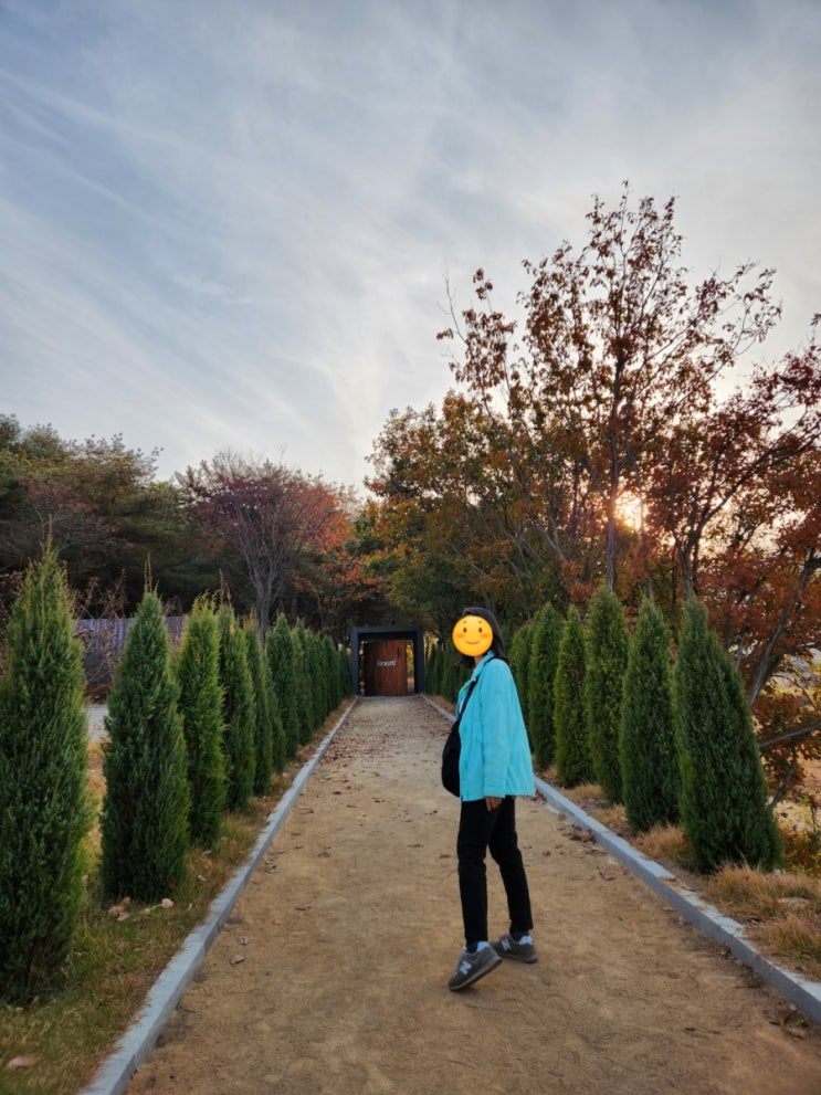  11월 경주여행오오티디