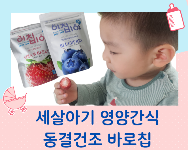  세 살 아기 영양간식 100% 생과일 동결건조 그대로 바로칩 [내 돈 내산]