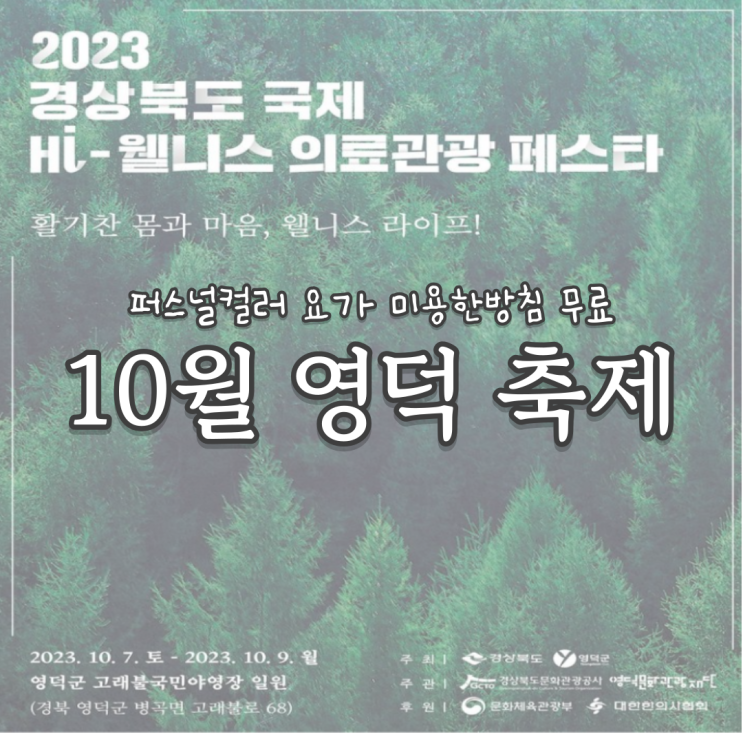  2023 대구 경북 10월 축제, 영덕 웰니스페스타 국제 의료관광축제