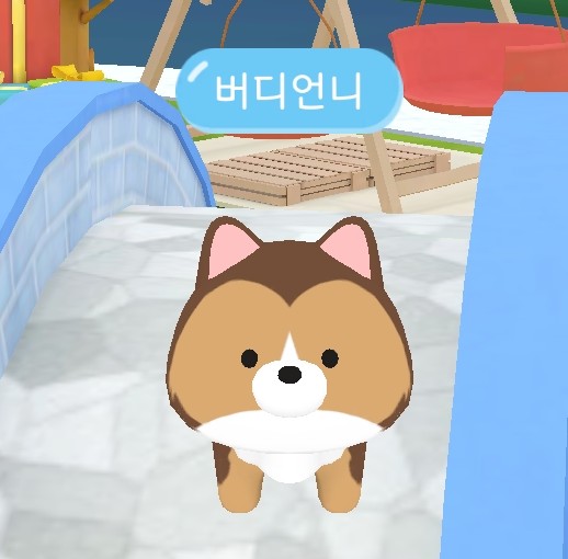 반려동물 커뮤니티 앱 오모오모 O모O모