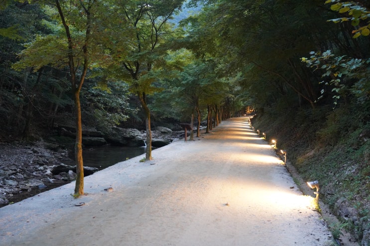 맨발로 걷기 좋은 곳_순창 강천산군립공원(순창 가볼만한곳)....
