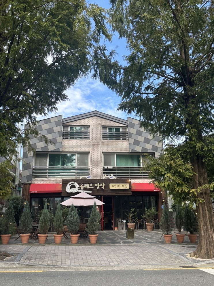 창원 가로수길 맛집 올리브장작화덕피자의집 점심 데이트코스로 파스타 추천