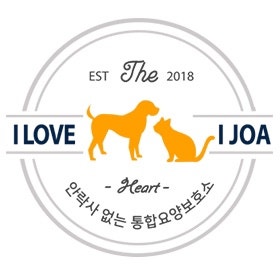 사진 10