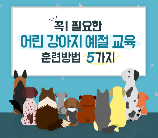  어린 강아지 예절교육 훈련 방법 5가지!