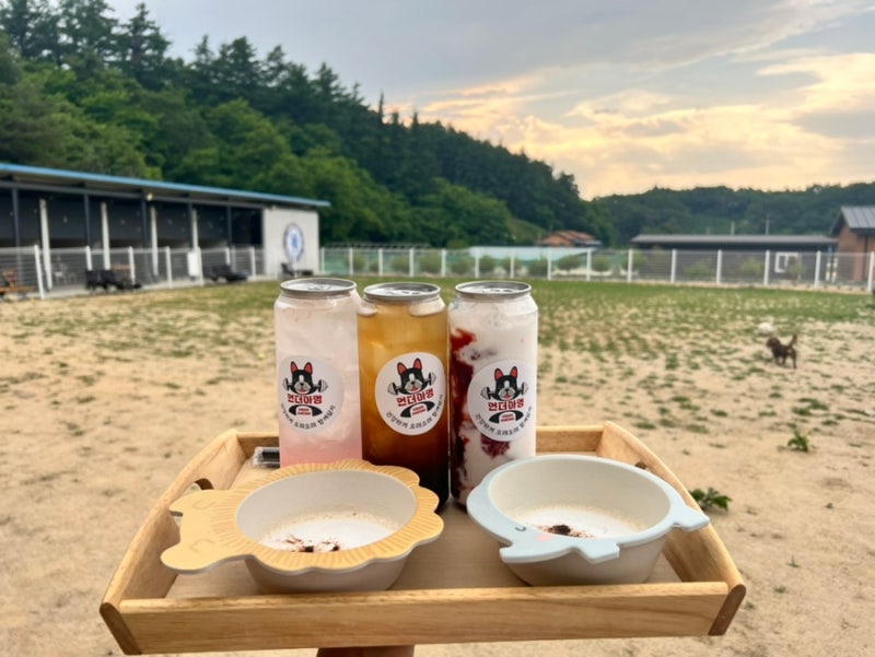 사진 4