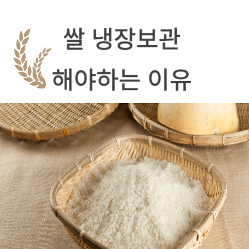  쌀 냉장보관 방법과 이유를 알려드립니다.